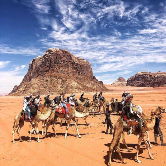 Camels Ridding  جولة على متن الجمل